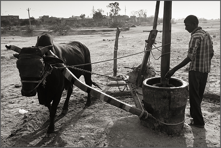 P1030637_Jodhpur Dec 2017