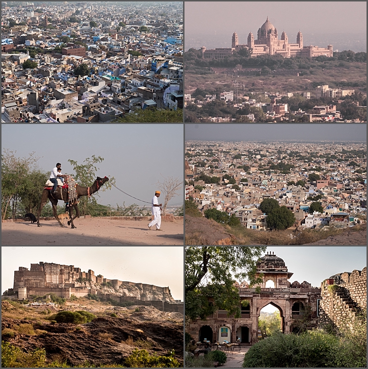 P1030693_Jodhpur Dec 2017-1