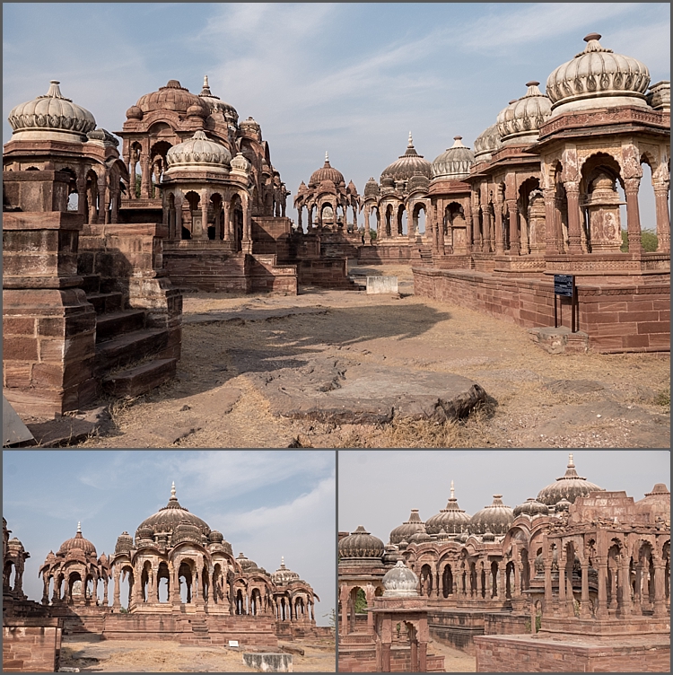 P1030863_Jodhpur environs Dec 2017