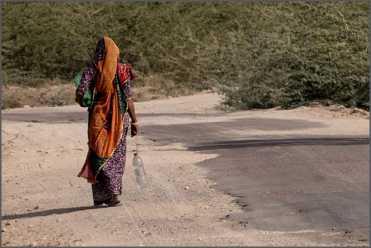 P1040168_Jodhpur environs Dec 2017