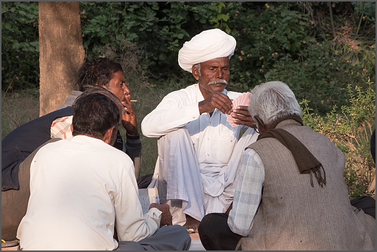 P1040064_Jodhpur environs Dec 2017