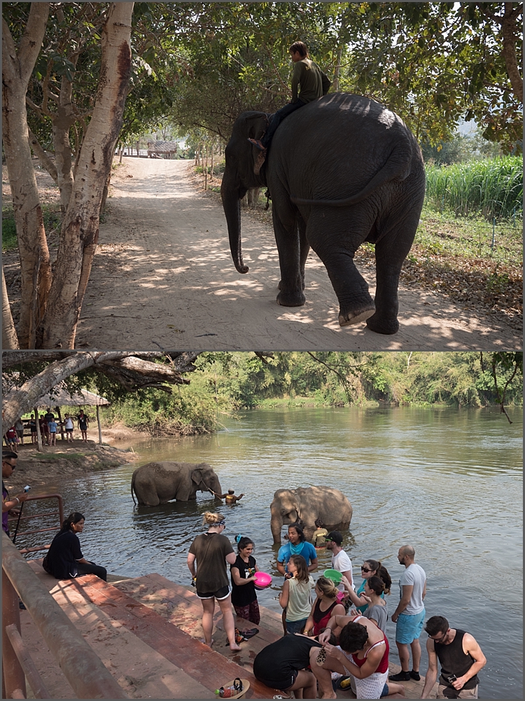 Elephant's World_0005