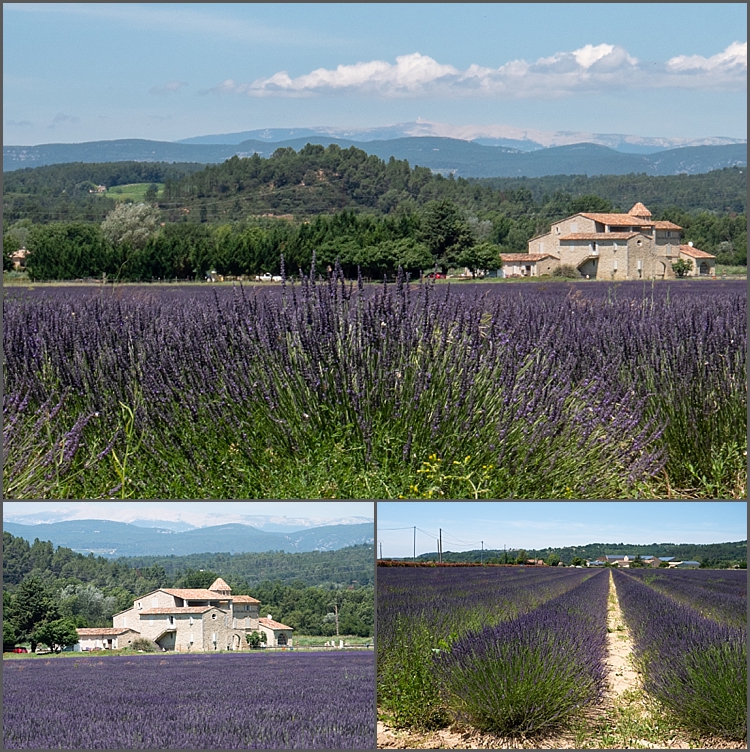 Provence June 2018_0012