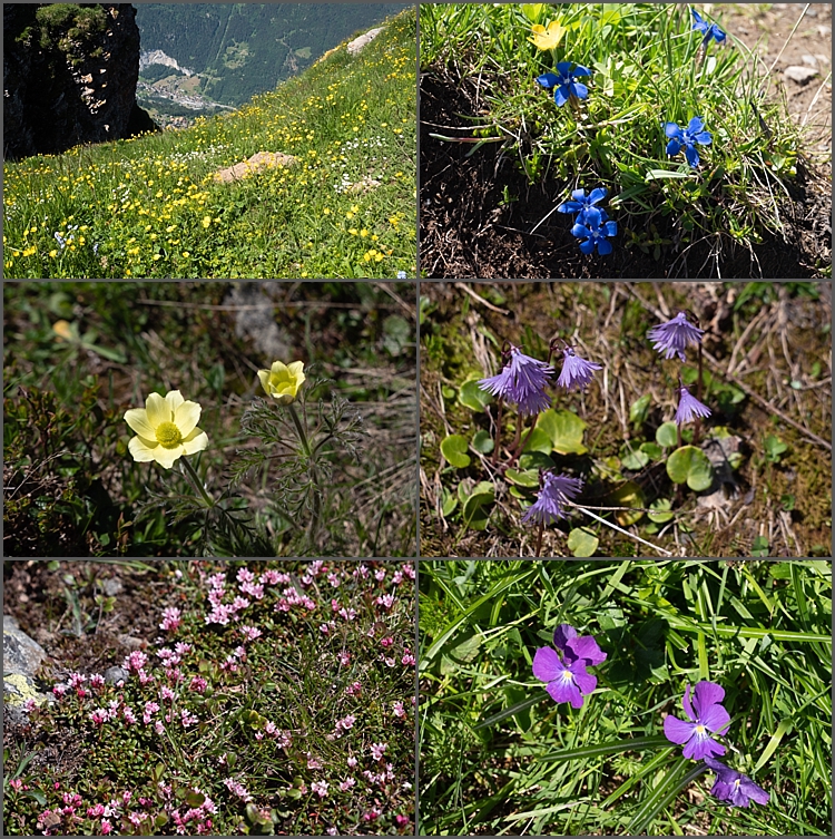 Bernese Oberland Switzerland 2018_0004