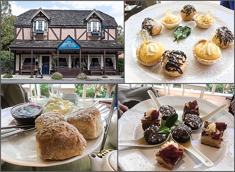 Afternoon tea, Aussie style.