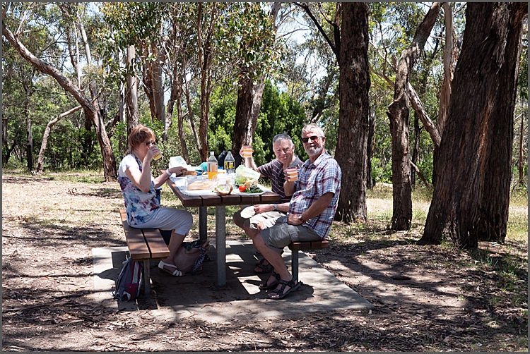 Arthur's Seat Nat Park, Victoria