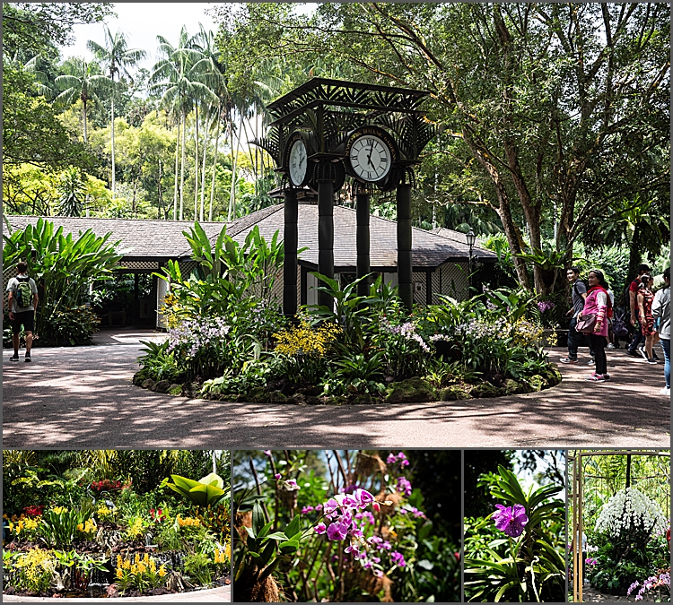 Singapore Botanic Gardens