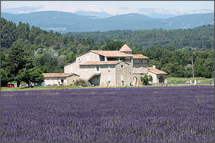 Our week in Provence Part&nbsp;II