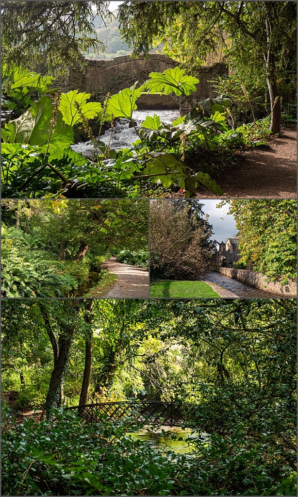 Grounds of Dunster Castle, Somerset